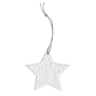 Étoile de Noël
