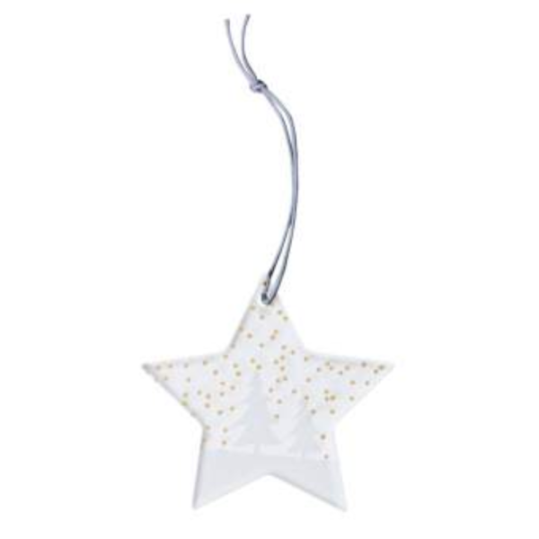 Étoile de Noël