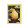 Cadre photo 10x15 "Jaune paille"
