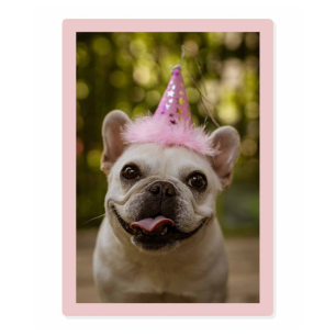 Cadre photo "Candy rose" - 20x30