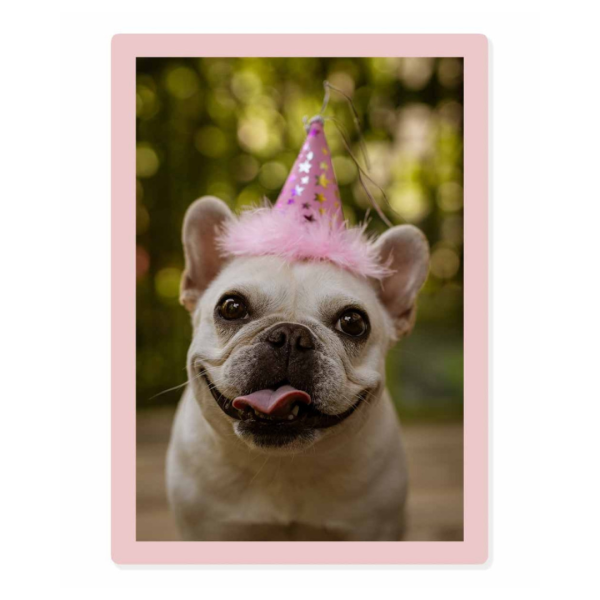 Cadre photo "Candy rose" - 20x30