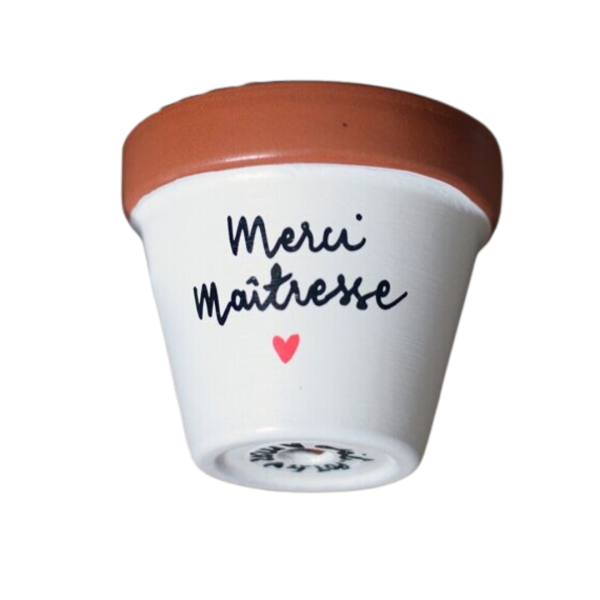 Pot de fleurs "Merci maîtresse"