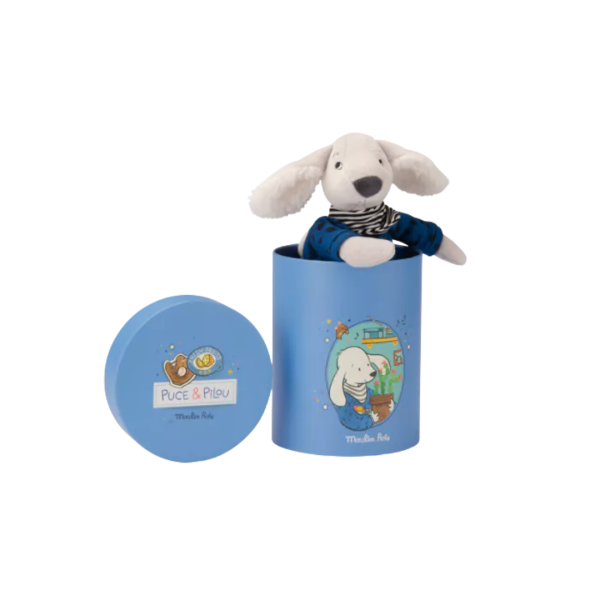 Doudou "Chien" en boite