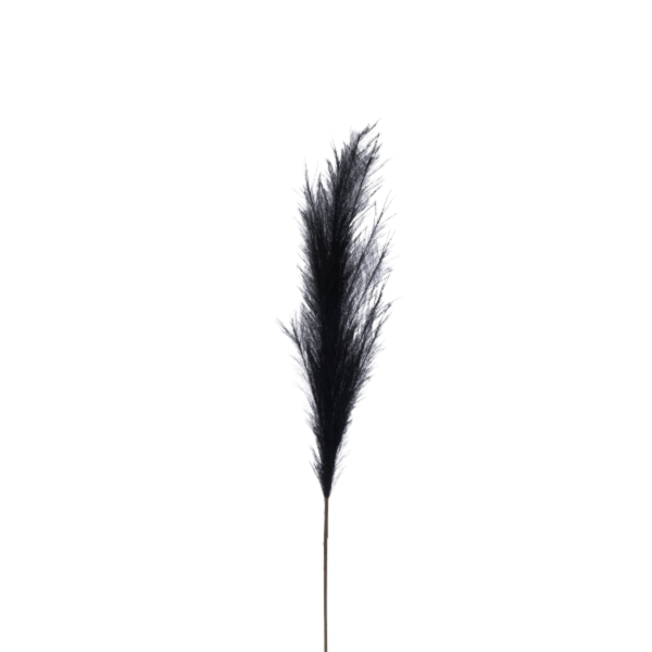 Branchage plumeau noir