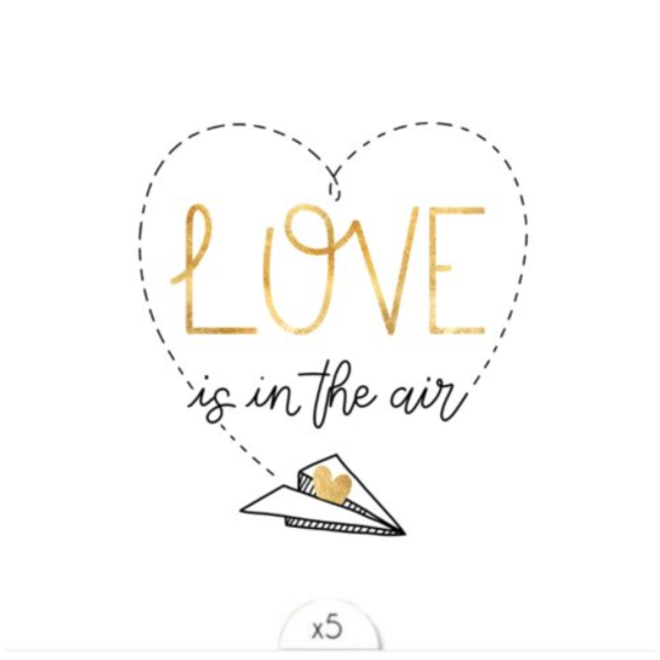 Tatouage éphémère "Love is in the air" x5