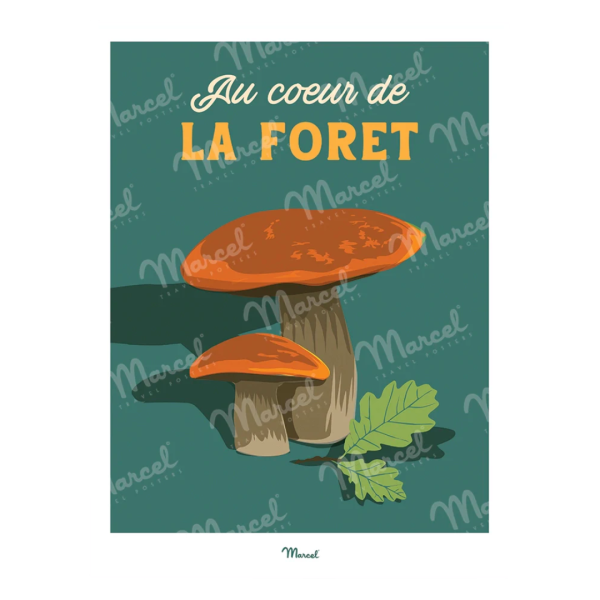 Affiche A3 "Au coeur de la foret"