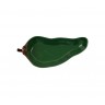 Plat piment vert