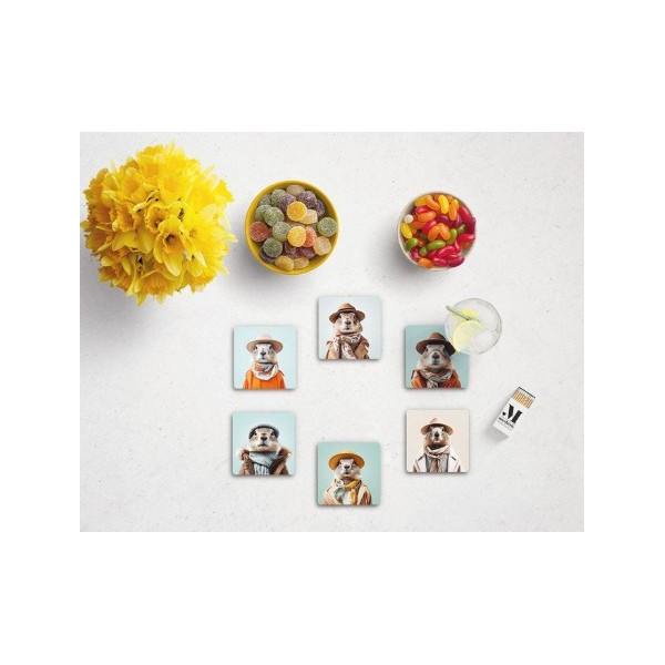 Dessous de verres marmottes