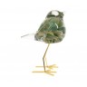 Oiseau vert serin