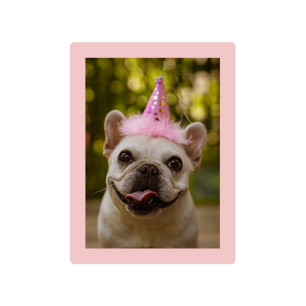 Cadre photo "Rose" - 10x15