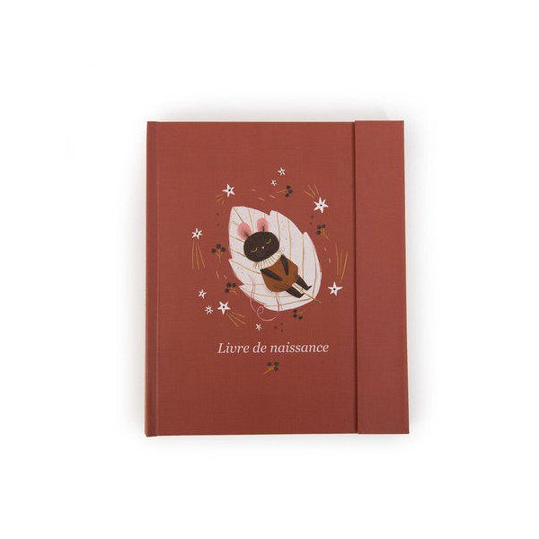 Livre de naissance - Après la Pluie