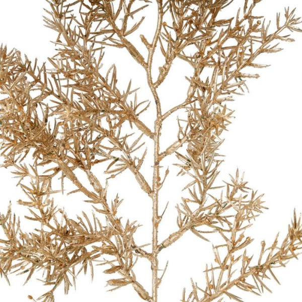 Branchage de sapin doré